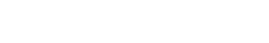 Intellectual Labs